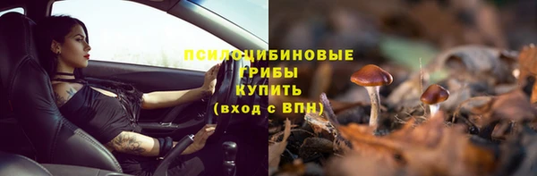 кокс Богородицк